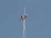 Removing the antenna